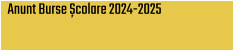 Anunt Burse Școlare 2024-2025